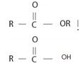 OWLv2 with Student Solutions Manual eBook, 4 terms (24 months) Printed Access Card for McMurry's Organic Chemistry, 9th, Chapter 21.SE, Problem 45AP , additional homework tip  13