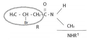 EBK ORGANIC CHEMISTRY, Chapter 21.SE, Problem 45AP , additional homework tip  17