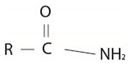 Study Guide with Student Solutions Manual for McMurry's Organic Chemistry, 9th, Chapter 21.SE, Problem 45AP , additional homework tip  18