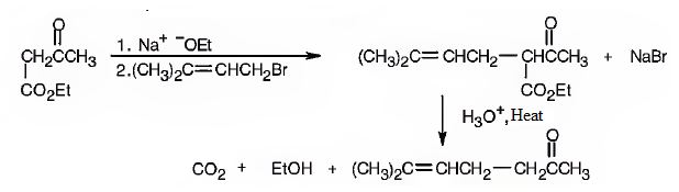 Organic Chemistry - With Access (Custom), Chapter 22.SE, Problem 17VC , additional homework tip  2