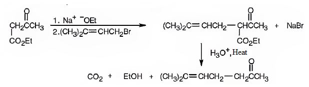 OWLv2 with Student Solutions Manual eBook, 4 terms (24 months) Printed Access Card for McMurry's Organic Chemistry, 9th, Chapter 22.SE, Problem 17VC , additional homework tip  2