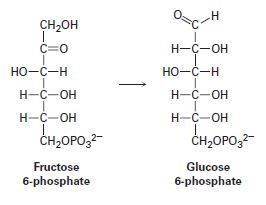 Chapter 22.SE, Problem 30MP, One of the later steps in glucose biosynthesis is the isomerization of fructose 6-phosphate to 