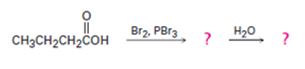 Study Guide with Student Solutions Manual for McMurry's Organic Chemistry, 9th, Chapter 22.SE, Problem 42AP , additional homework tip  3