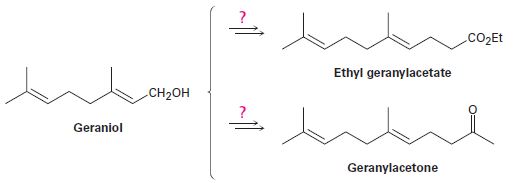 Chapter 22.SE, Problem 48AP, How might you convert geraniol into either ethyl geranylacetate or geranylacetone? 