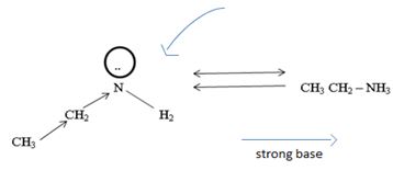 ORGANIC CHEMISTRY-EBOOK>I<, Chapter 24.3, Problem 4P , additional homework tip  3