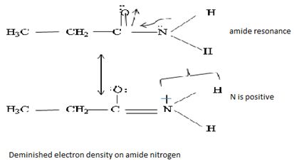 ORGANIC CHEMISTRY-EBOOK>I<, Chapter 24.3, Problem 4P , additional homework tip  4