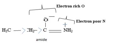 EP ORGANIC CHEMISTRY,24 MONTH-OWLV2, Chapter 24.3, Problem 4P , additional homework tip  5