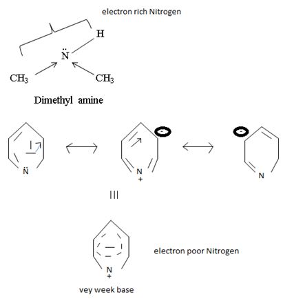 ORGANIC CHEMISTRY-EBOOK>I<, Chapter 24.3, Problem 4P , additional homework tip  9