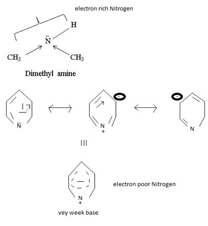 EBK ORGANIC CHEMISTRY, Chapter 24.3, Problem 4P , additional homework tip  9