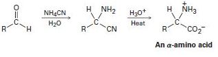 Chapter 24.SE, Problem 41MP, -Amino acids can be prepared by the Strecker synthesis, a two-step process in which an aldehyde is 