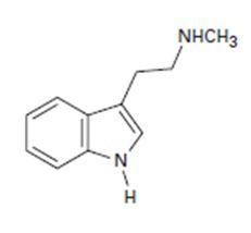 Organic Chemistry, Chapter 24.SE, Problem 49AP , additional homework tip  2