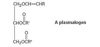 Chapter 27.SE, Problem 22AP, The plasmalogens are a group of lipids found in nerve and muscle cells. How do plasmalogens differ 