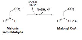 Chapter 28.SE, Problem 17MP, The final step in the metabolic degradation of uracil is the oxidation of malonic semialdehyde to 