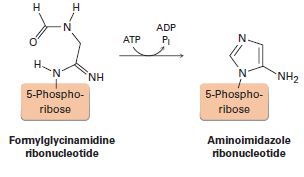 Chapter 28.SE, Problem 18MP, One of the steps in the biosynthesis of a nucleotide called inosine monophosphate is the formation 