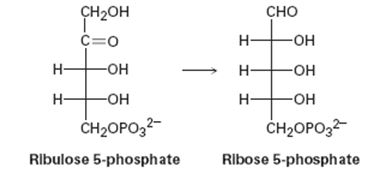 Chapter 29.SE, Problem 21MP, In the pentose phosphate pathway for degrading sugars, ribulose 5-phosphate is converted to ribose 