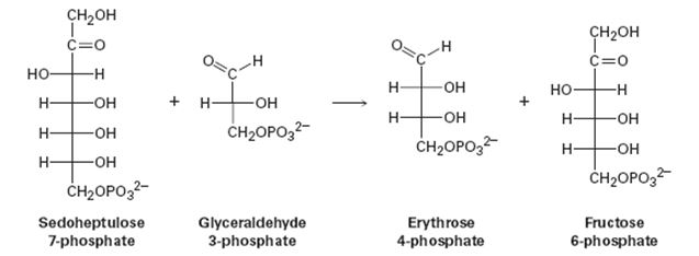 Chapter 29.SE, Problem 23MP, One of the steps in the pentose phosphate pathway for glucose catabolism is the reaction of 