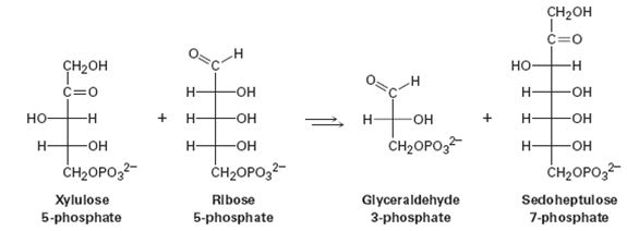 Chapter 29.SE, Problem 24MP, One of the steps in the pentose phosphate pathway for glucose catabolism is the reaction of xylulose 