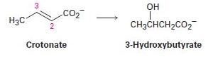 Chapter 5.SE, Problem 58AP, One of the steps in fat metabolism is the hydration of crotonate to yield 3-hydroxybutyrate. This 