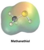 EBK ORGANIC CHEMISTRY, Chapter 6.SE, Problem 16VC , additional homework tip  2