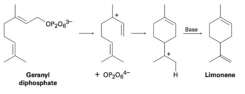Chapter 7.SE, Problem 32MP, Limonene, a fragrant hydrocarbon found in lemons and oranges, is biosynthesized from geranyl 