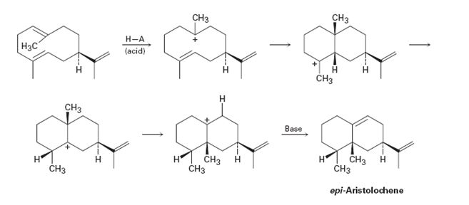 Organic Chemistry, Chapter 7.SE, Problem 33MP 