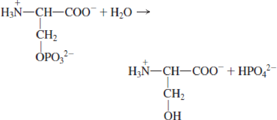 Chapter 10, Problem 10.23EP, Identify the enzyme needed in each of the following reactions as an isomerase, a decarboxylase, a , example  3