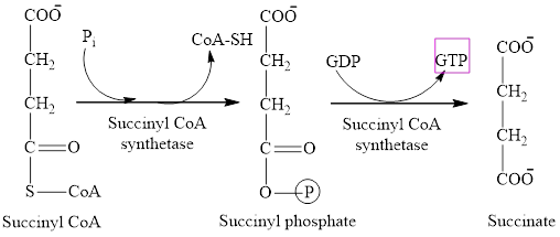 Organic And Biological Chemistry, Chapter 12, Problem 12.70EP , additional homework tip  6