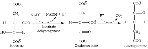 EBK ORGANIC AND BIOLOGICAL CHEMISTRY, Chapter 12, Problem 12.70EP , additional homework tip  11