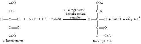 EBK ORGANIC AND BIOLOGICAL CHEMISTRY, Chapter 12, Problem 12.70EP , additional homework tip  12