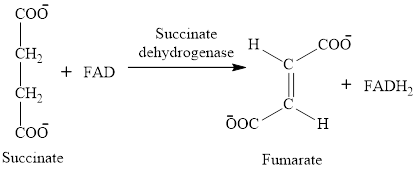 EBK ORGANIC AND BIOLOGICAL CHEMISTRY, Chapter 12, Problem 12.70EP , additional homework tip  13