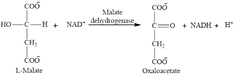 EBK ORGANIC AND BIOLOGICAL CHEMISTRY, Chapter 12, Problem 12.70EP , additional homework tip  14