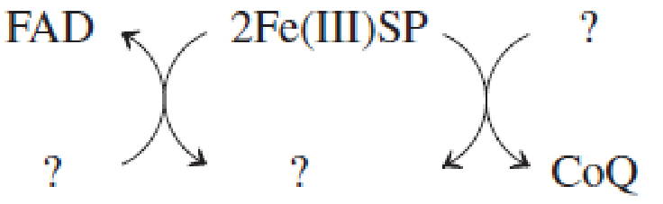 Fill in the missing substances in the following electron transport