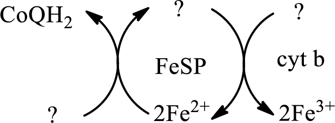 Fill in the missing substances in the following electron transport