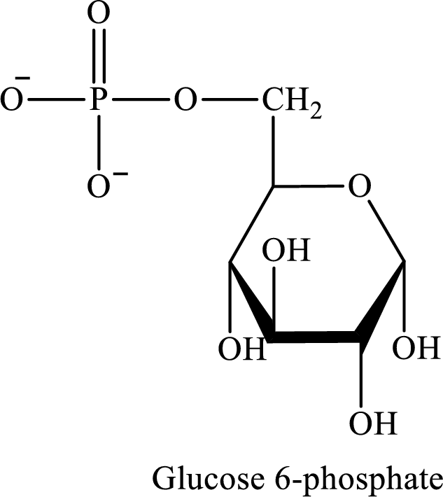 Organic And Biological Chemistry, Chapter 13, Problem 13.91EP , additional homework tip  1