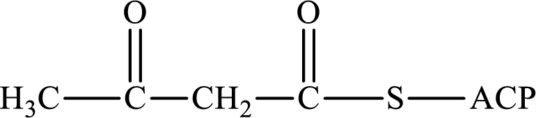 EBK ORGANIC AND BIOLOGICAL CHEMISTRY, Chapter 14, Problem 14.93EP , additional homework tip  1