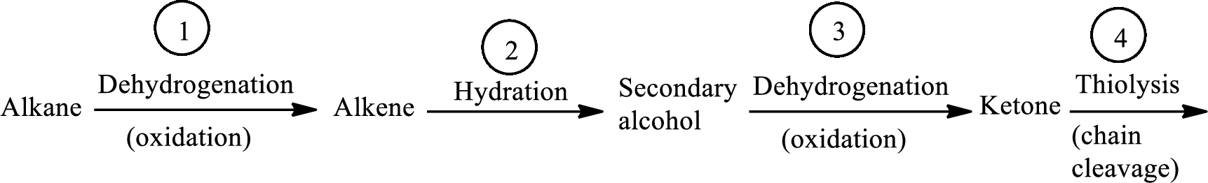 Organic And Biological Chemistry, Chapter 14.4, Problem 5QQ 