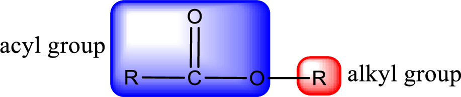 Organic And Biological Chemistry, Chapter 5, Problem 5.114EP 