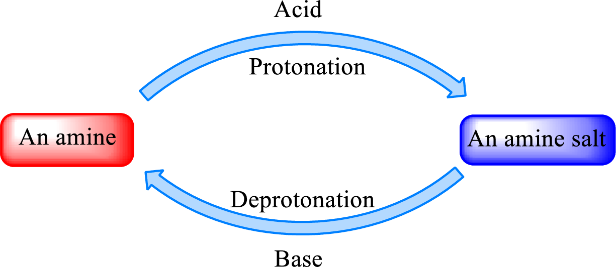 Organic And Biological Chemistry, Chapter 6, Problem 6.52EP , additional homework tip  1