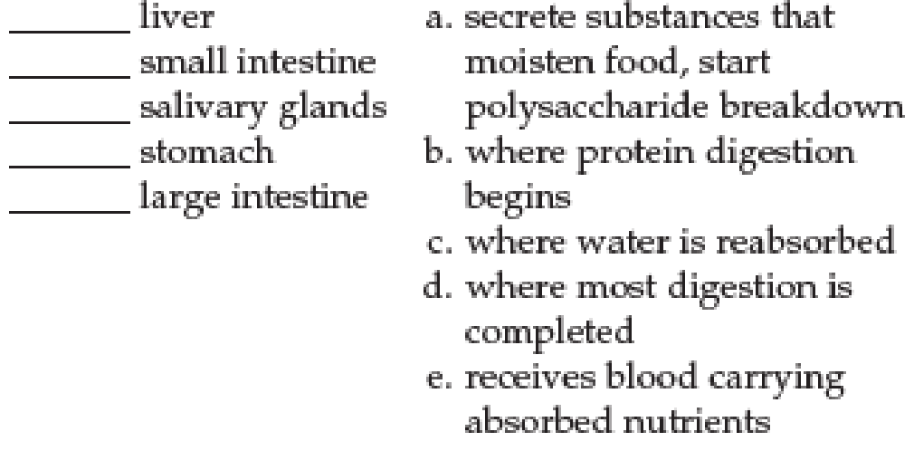 Chapter 11, Problem 10SQ, Match the digestive system parts and functions. 