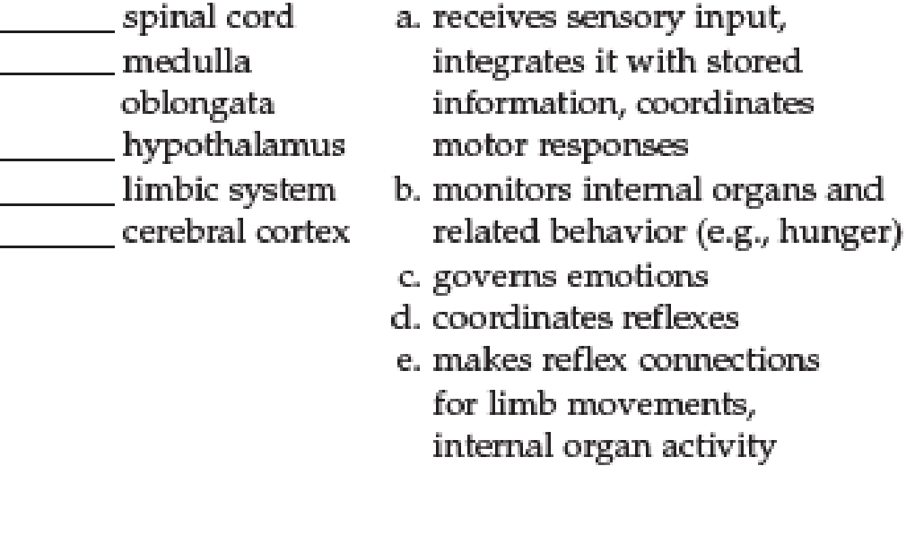 Chapter 13, Problem 9SQ, Match each region of the central nervous system with some of its functions. 