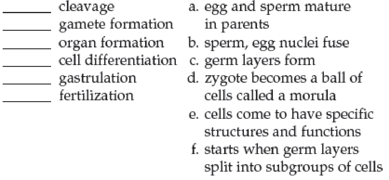 Chapter 17, Problem 7SQ, Match each developmental stage with its description. 