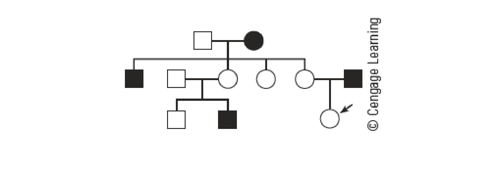 Chapter 20, Problem 7CT, The following pedigree shows the pattern of inheritance of red-green color blindness in a family. 