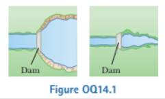 Chapter 14, Problem 14.1OQ, Figure OQ14.1 shows aerial views from directly above two dams. Both dams are equally wide (the 