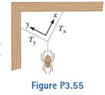 Chapter 3, Problem 3.55AP, In Figure P3.55, a spider is resting after starting to spin its web. The gravitational force on the 