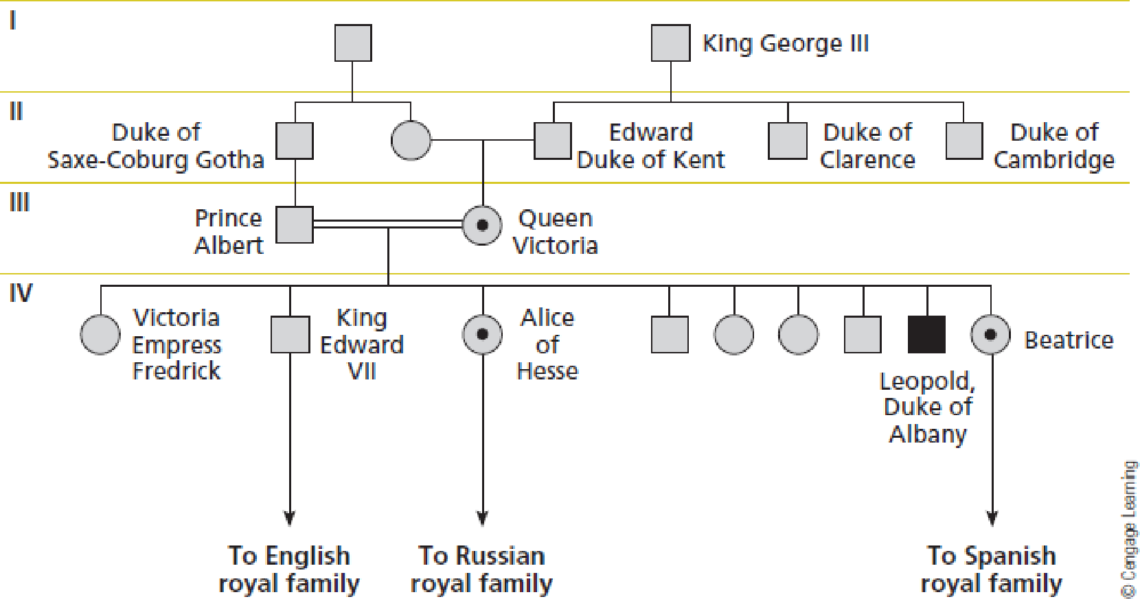 Chapter 4.7, Problem 1EG, Did the fact that Prince Albert and Queen Victoria were first cousins have anything to do with the 