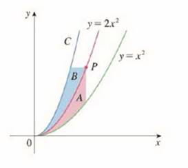 The Figure Shows A Curve C With The Property That For Every Point P On The Middle Curve Y 2 X 2 The Areas A And B Are Equal Find