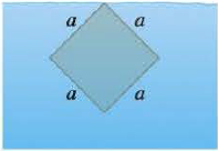 Chapter 8.3, Problem 10E, A vertical plate is submerged (or partially submerged) in water and has the indicated shape. Explain 
