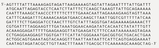 Chapter 19, Problem 1ITD, Below is a sequence of 540 bases from a genome. What information would you use to find the 