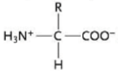 Chapter 3, Problem 11TYK, Discuss Concepts Identify the following structures as a carbohydrate, fatty acid, amino acid, or 