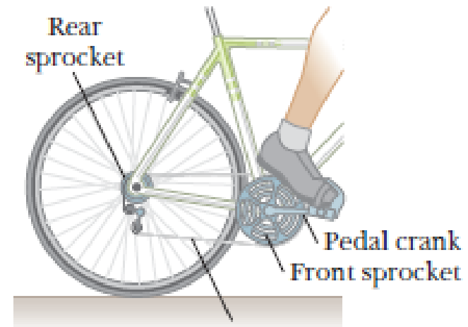 Chapter 10, Problem 18P, Figure P10.18 shows the drive train of a bicycle that has wheels 67.3 cm in diameter and pedal 
